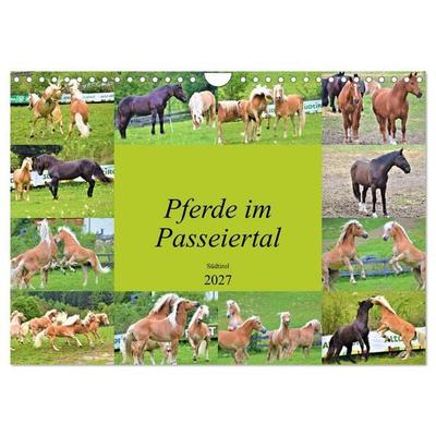 Pferde im Passeiertal (Wandkalender 2027 DIN A4 quer), CALVENDO Monatskalender