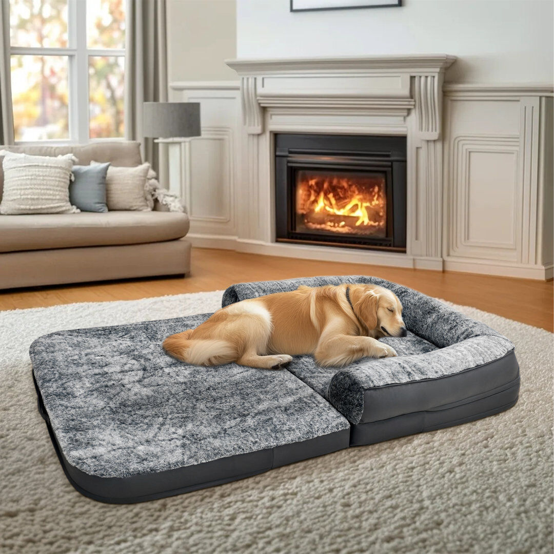 Archie & Oscar Guitain Oval Pet Bed Gray Extra Extra Large (91 lbs and up)