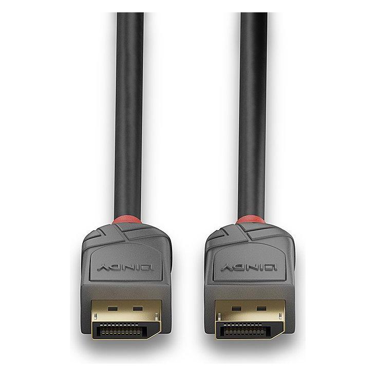 Lindy DisplayPort - DisplayPort (0.50 m) (36480)