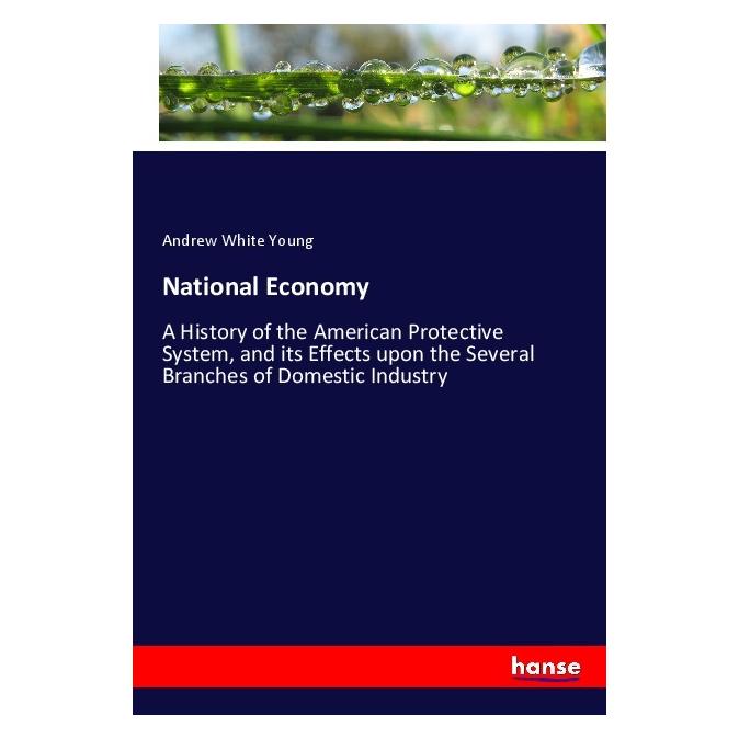 Hansebooks National Economy (Englisch, Softcover, Andrew White Young) (55978703)