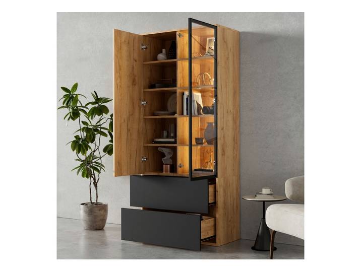 Fine Life Pro Vitrine Vitrinenschrank, Glas & LED, 2 Türen, 2 Schubladen 70x35x160 cm, 6 verstellbare Böden, Wohnzimmer & Esszimmer
