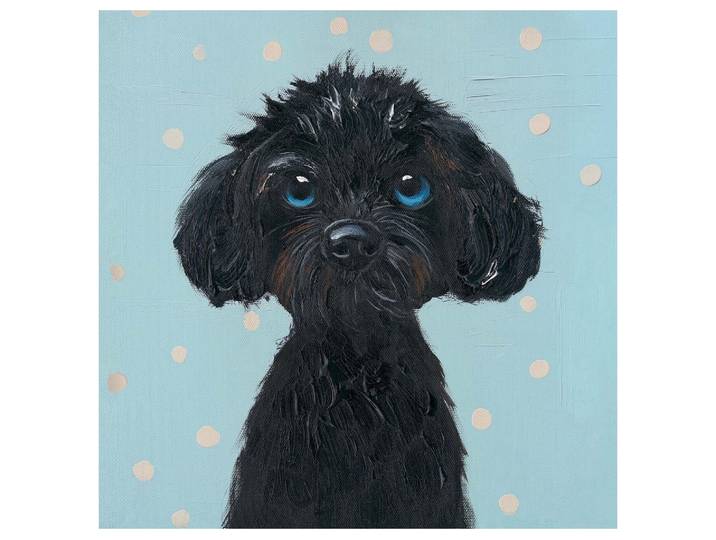 Bild Black Puppy image LAND