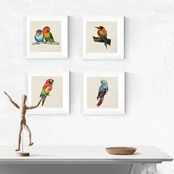 POSTER Set Mit 4 Vögel Tiere 15X15cm Schwarzer Rahmen