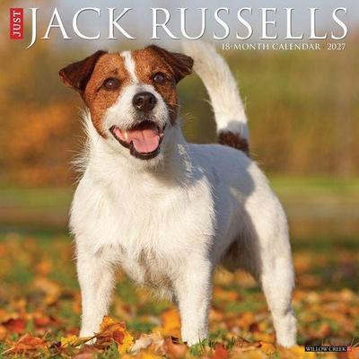 Jack Russells 2027 12 X 12 Wall Calendar