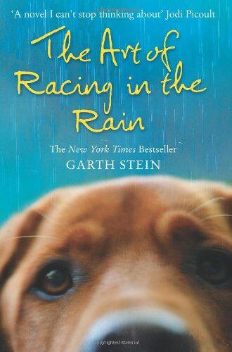 Garth Stein - The Art of Racing in the Rain - Preis vom 19.10.2026 19:33:35 h