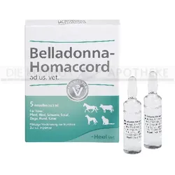BELLADONNA HOMACCORD ad us.vet.Ampullen 5 St