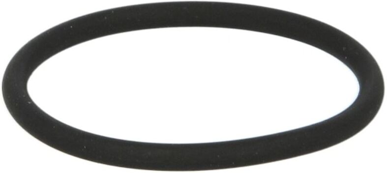 Euroricambi O-ring, cambio manuale 95532570