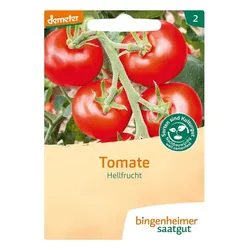 Tomate Hellfrucht