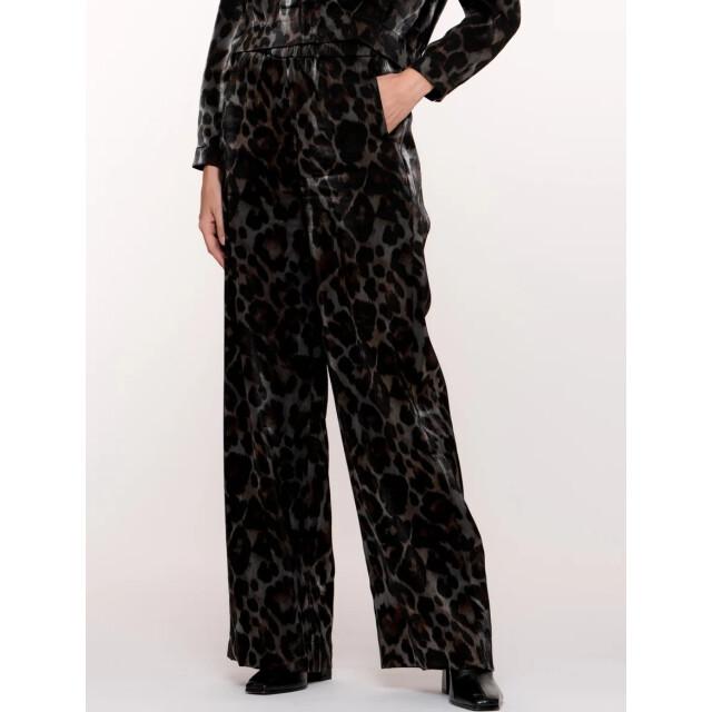 Geisha 51682-20 925 pants animal grey/bronze