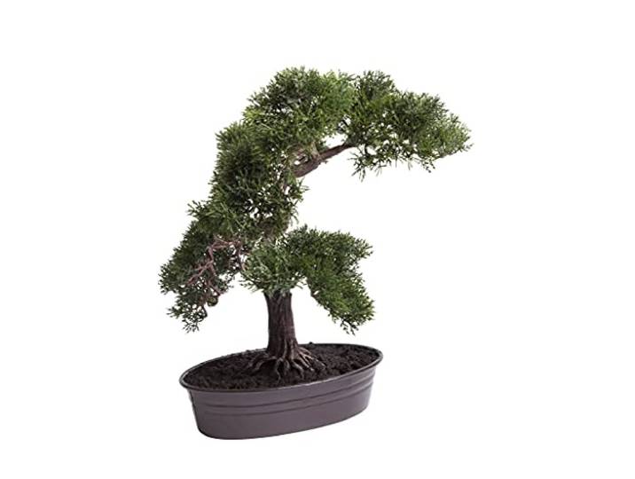 Botanic-Haus künstlicher Cedern Bonsai in brauner ovaler Metallschale