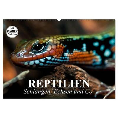 Reptilien. Schlangen, Echsen und Co. (Wandkalender 2026 DIN A2 quer), CALVENDO Monatskalender