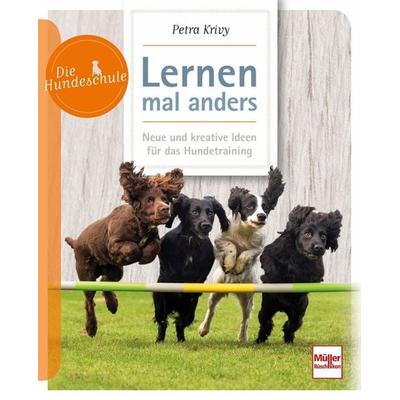 Lernen - mal anders, Taschenbuch von Petra Krivy, Müller Rüschlikon, 978-3-275-02140-6