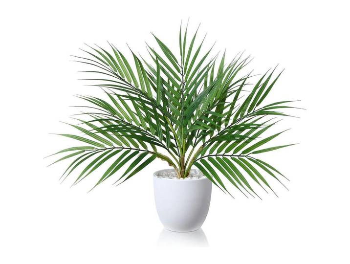 Kunstpflanze Areca Palme 40 cm, Grün, Kunststoff, 11.9 cm, Dekoration, Blumen & Blumentöpfe, Kunstpflanzen