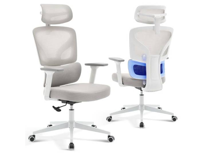 Chaise de bureau ergonomique - LUNSY - Rembourrage moelleux - Soutien lombaire intégré - Maille respirante