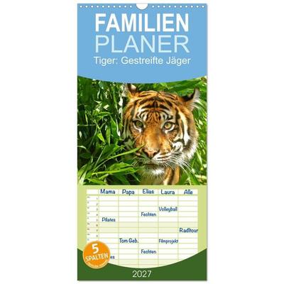 Familienplaner 2027 - Tiger: Gestreifte Jäger mit 5 Spalten (Wandkalender, 21 x 45 cm) CALVENDO