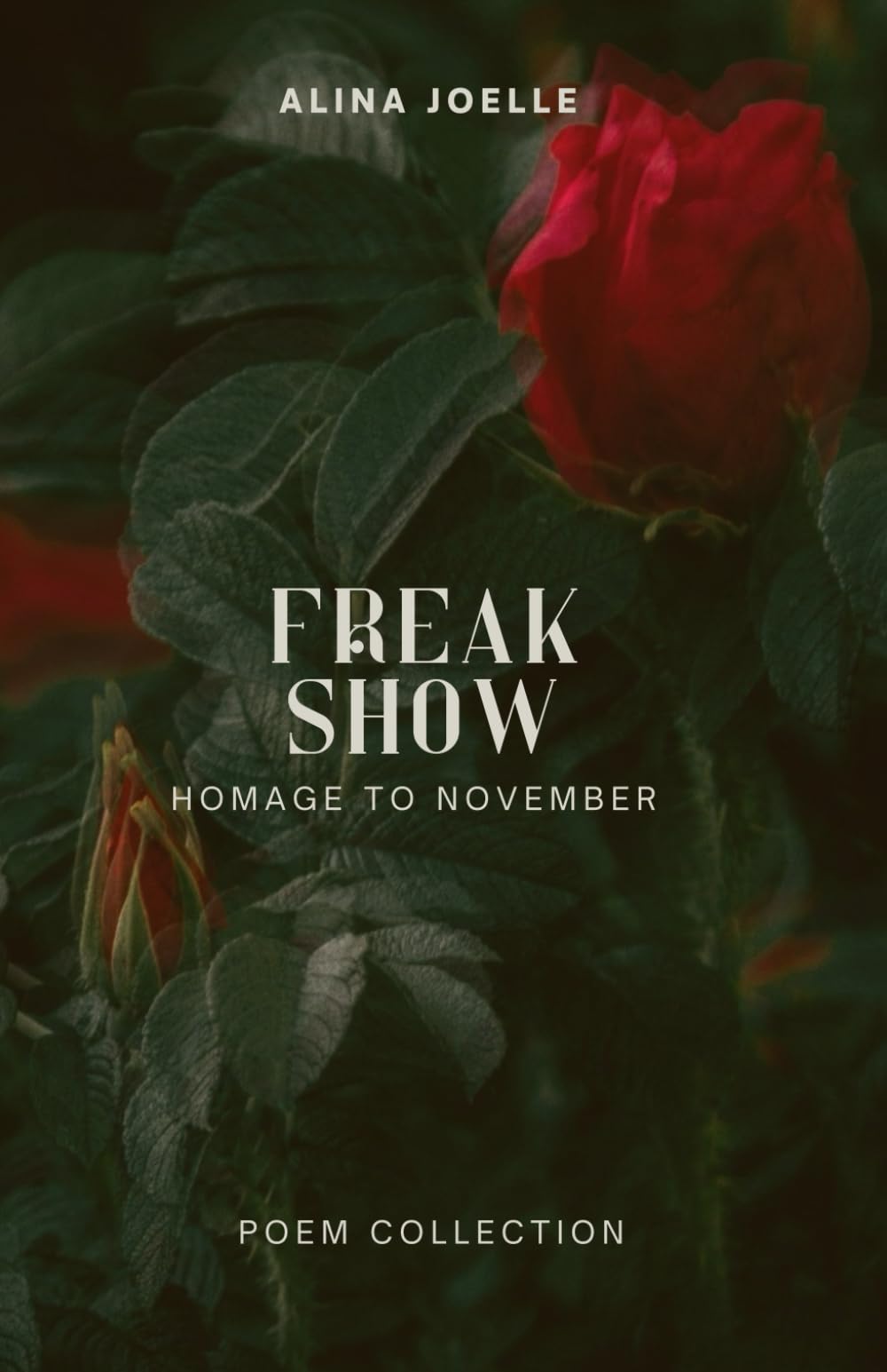 Alina Joelle - Freak Show: Poetry collection - Preis vom 06.10.2026 07:26:00 h