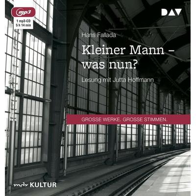 Kleiner Mann – was nun? - Hans Fallada, Audio, 9783742404282