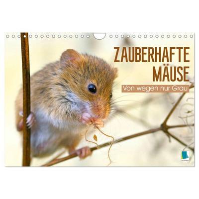 Zauberhafte Mäuse: Von wegen nur Grau (Wandkalender 2026 DIN A4 quer), CALVENDO Monatskalender
