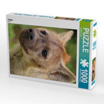 CALVENDO Puzzle Hyäne | 1000 Teile Lege-Größe 64x48cm Foto-Puzzle für glückliche Stunden