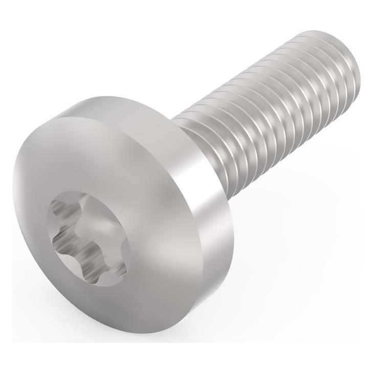 Schroff Torx-Linsenkopfschraube - NTS TORXSCHR M4X14 (10STK) (24560131)