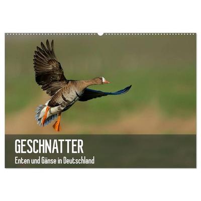Geschnatter - Enten und Gänse in Deutschland (Wandkalender 2027 DIN A2 quer), CALVENDO Monatskalender