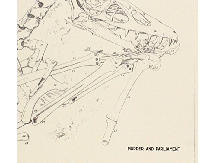 Murder And Parliament - Murder And Parliament