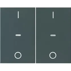 Berker Abdeckung Tastsensor-Modul 80962375