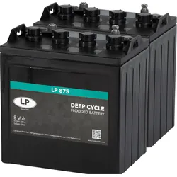 2x Landport LP 875 8V 170Ah Deep Cycle Traktionsbatterie (16V)
