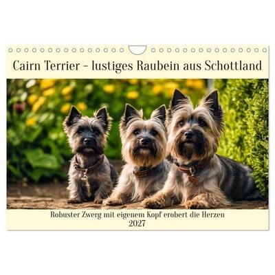 Cairn Terrier - lustiges Raubein aus Schottland (Wandkalender 2027 DIN A4 quer), CALVENDO Monatskalender