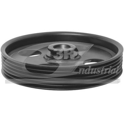 3RG Riemenscheibe, Servopumpe 10247 für Peugeot