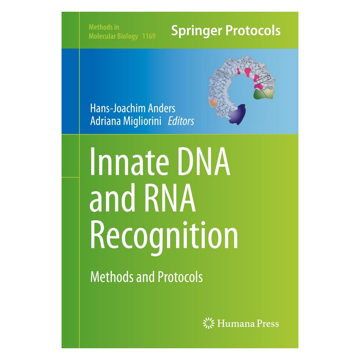 Springer Innate DNA and RNA Recognition (9781493908813)