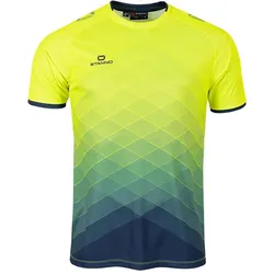 Stanno, Jungen, Sportshirt, Altius Trikot (176), Gelb