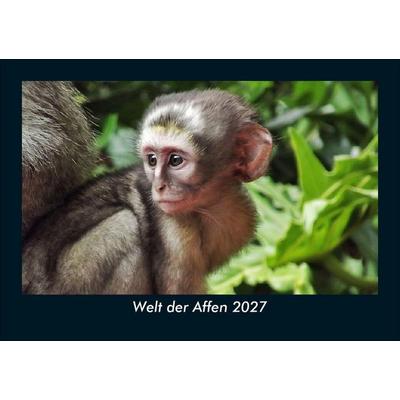 Welt der Affen 2027 Fotokalender DIN A5