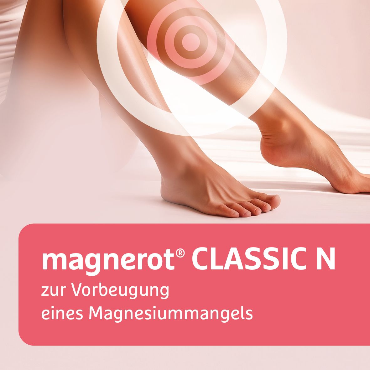 Magnerot Classic N Tabletten 100 St
