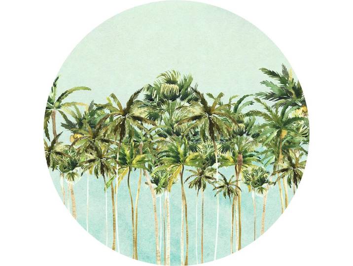 FOTOTAPETE COCONUT TREES