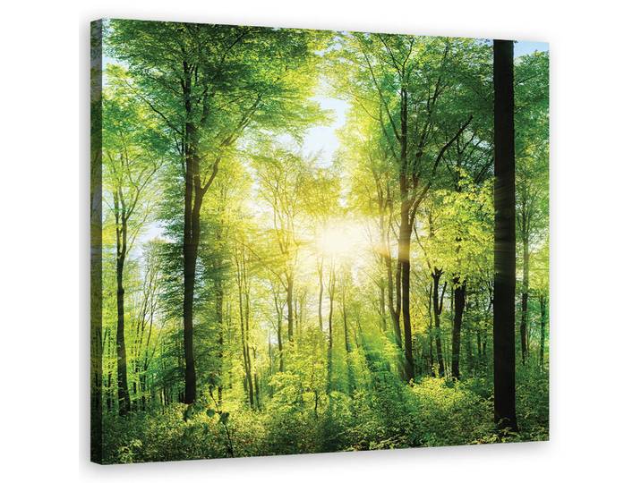 Feeby Wandbild sonnenstrahlen las natura, Grün, Landschaft/Berg, Rechteckig, 50x50 cm, Bilder & Rahmen, Bilder, Leinwandbilder
