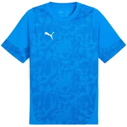 PUMA teamCUP Trainingsshirt Herren 02 - electro royal/puma silver/puma team royal S