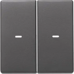 Berker Tast-Abdeckung 2f. anth 80960326