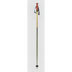 Völkl Phantastick 16mm Poles 2025 Skistöcke green Gr. 115