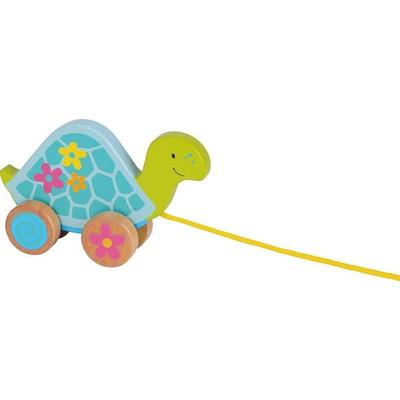Ziehtier Schildkröte, Susibelle