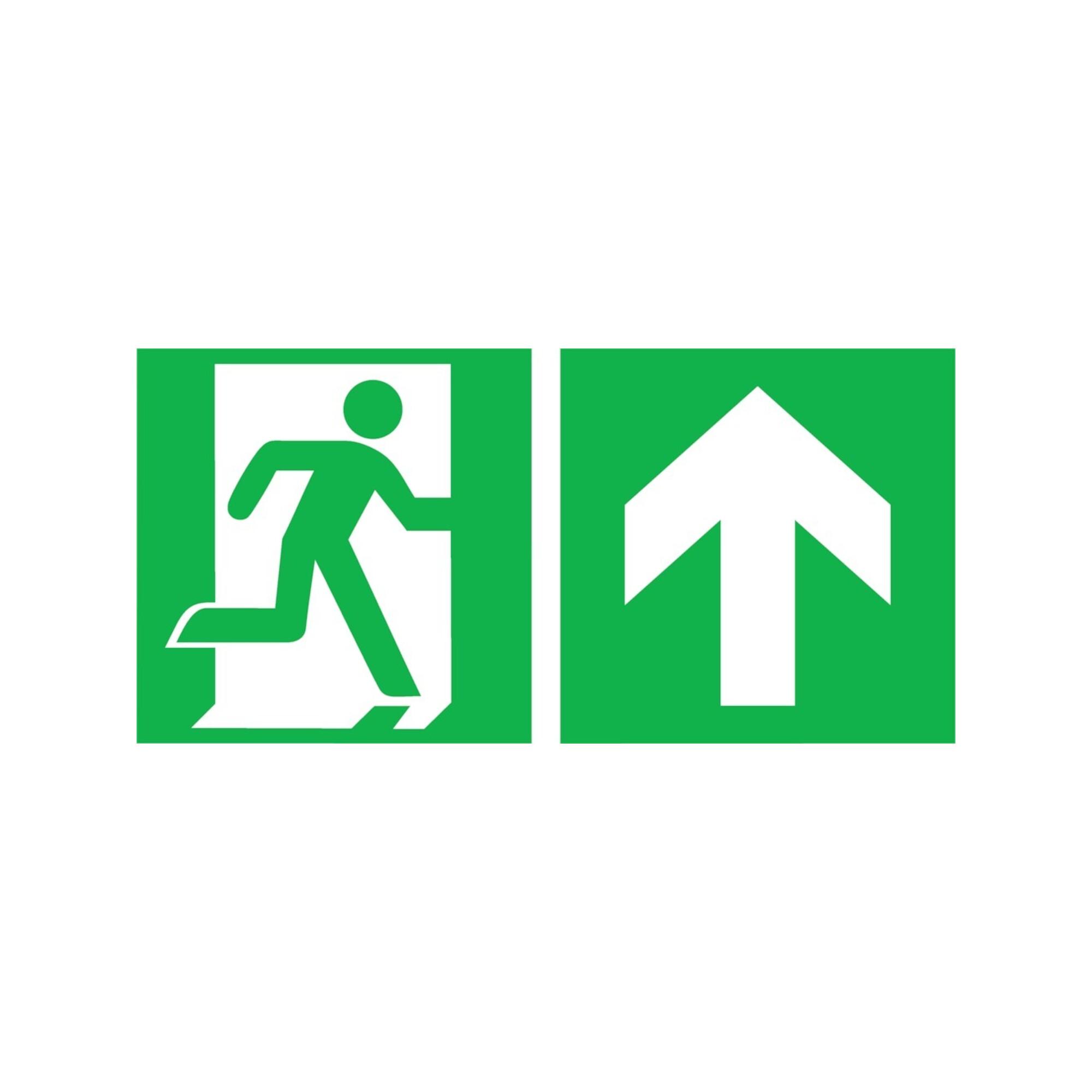 SafetyMarking Fluchtwegschild Folie B400xH200 mm Notausgang rechts mit Pfeil gerade ; wolk (38.3024)