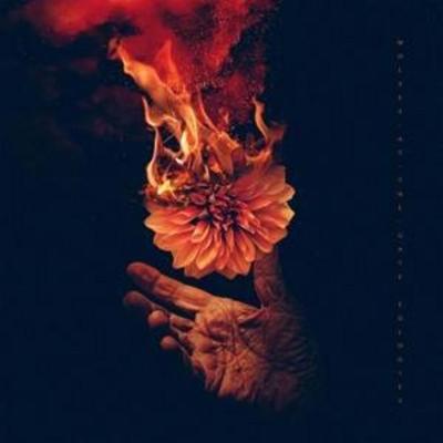 Eulogies - Wolves At The Gate, CD