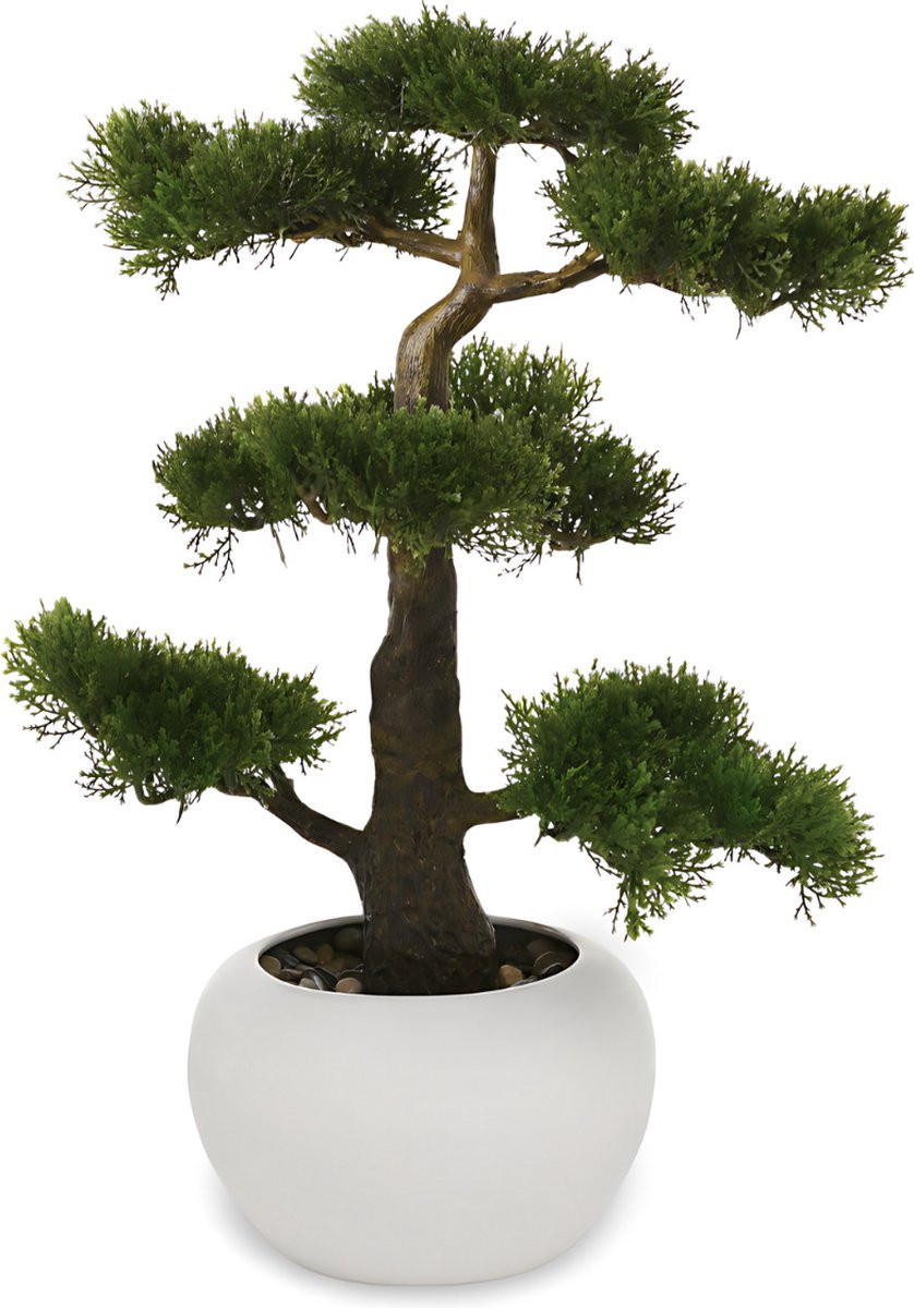 Dulaire Kunst Bonsai Boom in pot, 47 cm