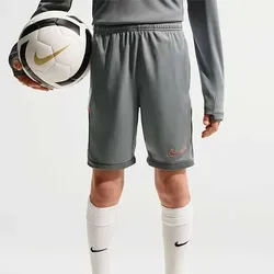 Nike Dri-FIT Academy 25 Shorts Kinder grau/weiß
