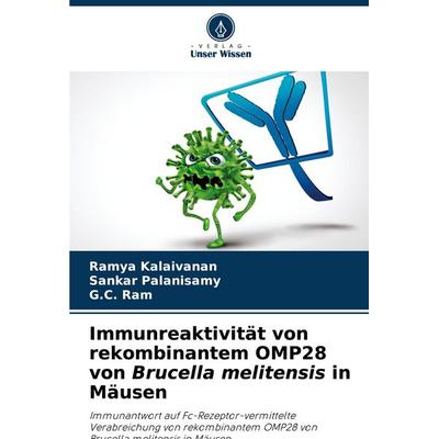Immunreaktivität von rekombinantem OMP28 von Brucella melitensis in Mäusen, Taschenbuch von Ramya Kalaivanan,Sankar Palanisamy,G. C. Ram, Verlag Unser