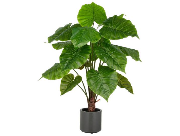 Kunstpflanze Alocasia Wentii, Grün, Kunststoff, 100 cm, inkl. Topf, Dekoration, Blumen & Blumentöpfe, Kunstpflanzen
