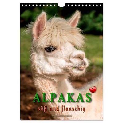 Alpakas - süß und flauschig (Wandkalender 2026 DIN A4 hoch), CALVENDO Monatskalender