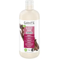 2x Sante, Shampoo, Glossy Shine Shampoo (Flüssiges Shampoo, 500 ml)