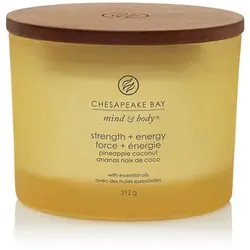 Chesapeake Bay Strength + Energy Duftkerze mit 3 Dochten 312 g