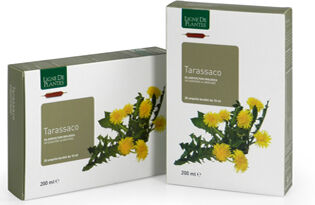 NATURA SERVICE Srl Tarassaco BIO - Integratore Alimentare a Base di Tarassaco per la Salute Digestiva ed Epatica